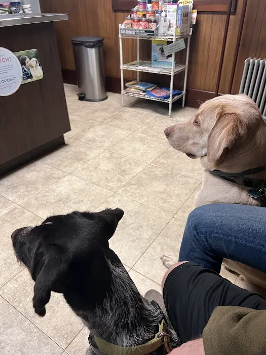 Country Roads Veterinary Services 7