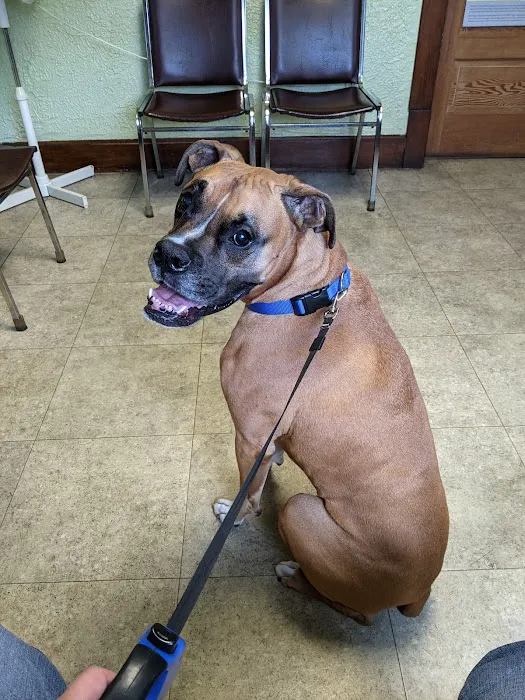 Country Roads Veterinary Services 9