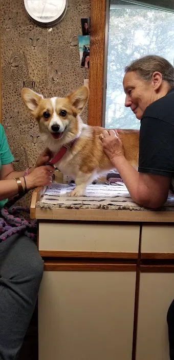 Holistic Center For Veterinary Care 6