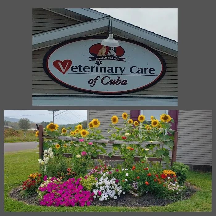 Center Street Veterinary 4