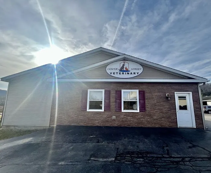 Center Street Veterinary 3