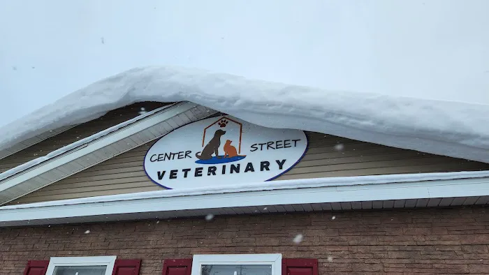 Center Street Veterinary 1