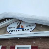 Center Street Veterinary ico