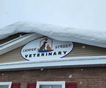 Center Street Veterinary