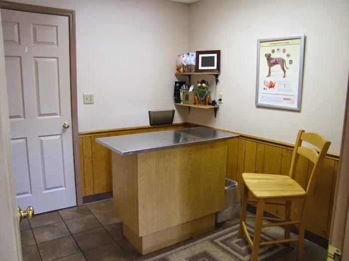 Center Street Veterinary 5