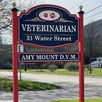 Your Hometown Vet ico