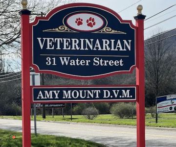 Your Hometown Vet