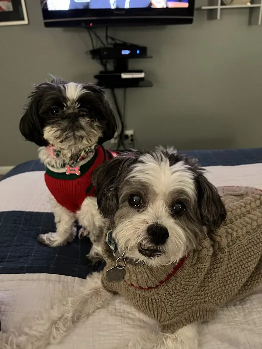 Banfield Pet Hospital 5