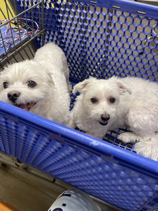 Banfield Pet Hospital 10