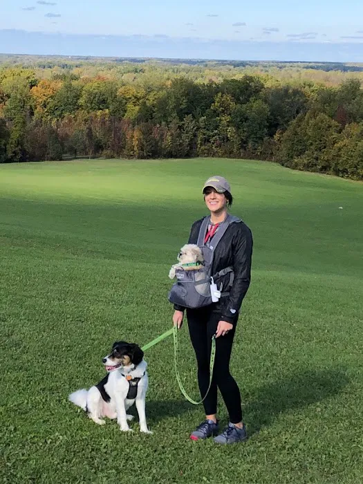 Community Pet Care Hospital 6