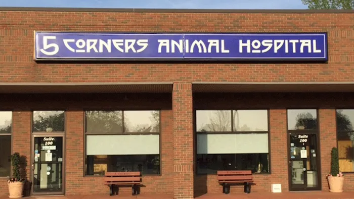 5 Corners Animal Hospital 3