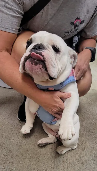 Town & Country Animal Hospital 1