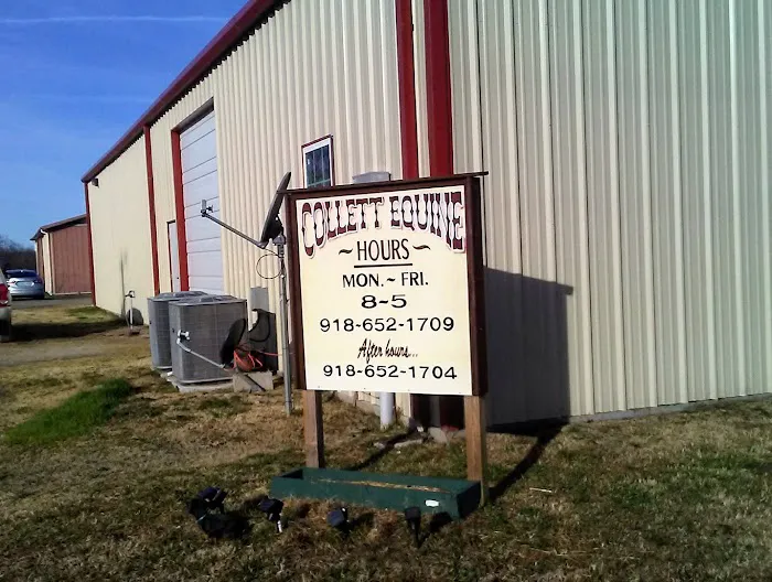 Collett Equine Veterinary Service 3