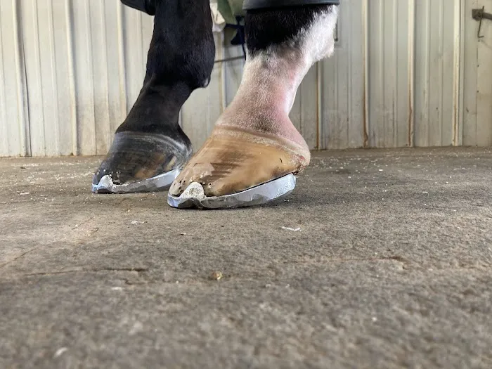 Miller Veterinary Hospital & Mobile Services 5