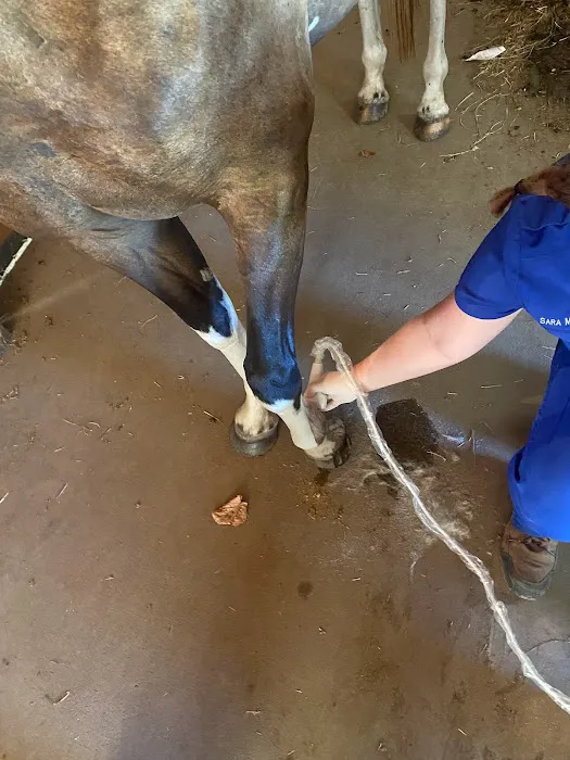 Miller Veterinary Hospital & Mobile Services 7