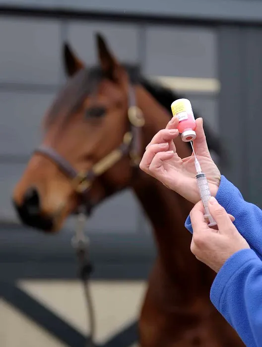 Miller Veterinary Hospital & Mobile Services 10