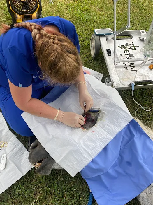 Miller Veterinary Hospital & Mobile Services 9
