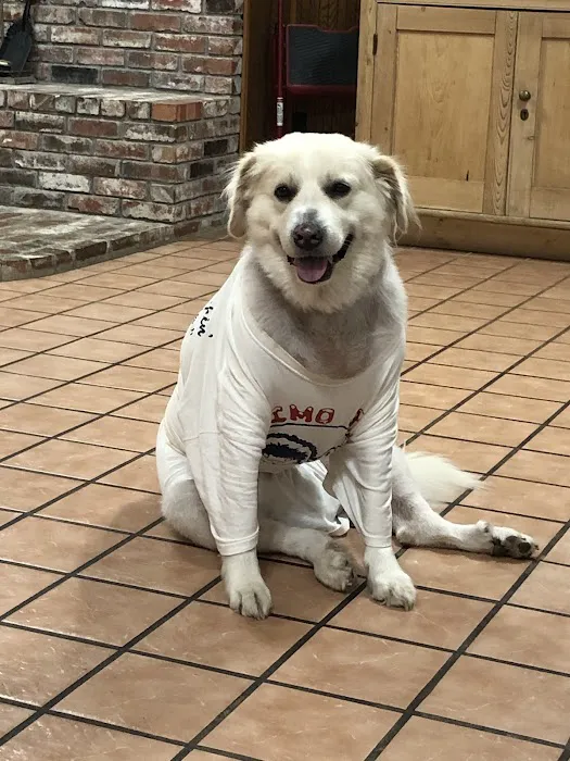 Rankin Veterinary Hospital PC 5