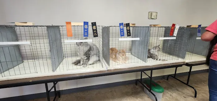 Casa Hidalgo cattery kennel & grooming 7