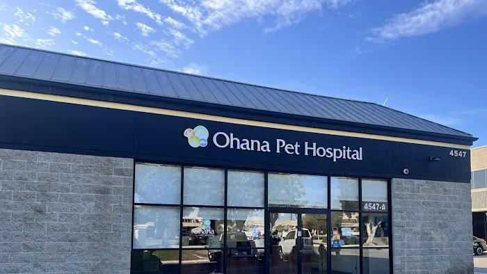 Ohana Pet Hospital 1
