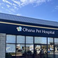 Ohana Pet Hospital ico