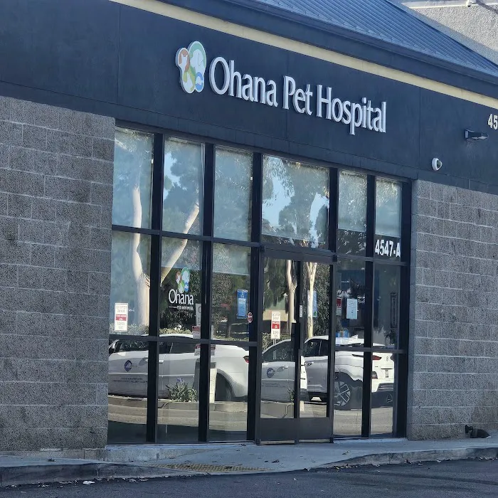 Ohana Pet Hospital 3