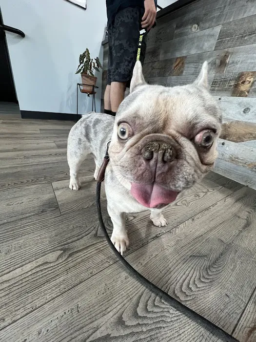 Cornelius Pet Hospital 2