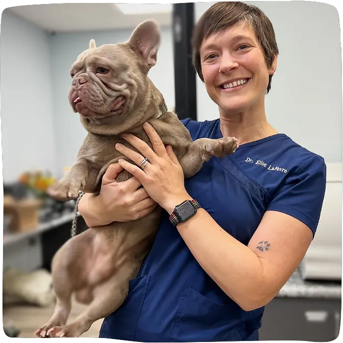 Cornelius Pet Hospital 3