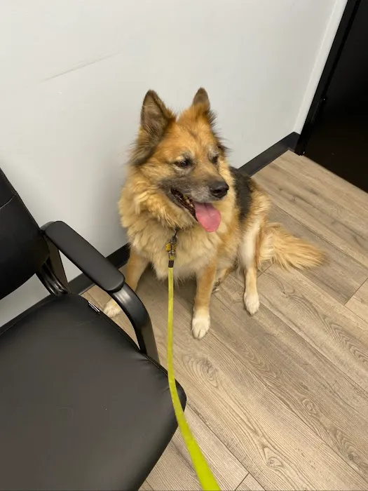 Cornelius Pet Hospital 9