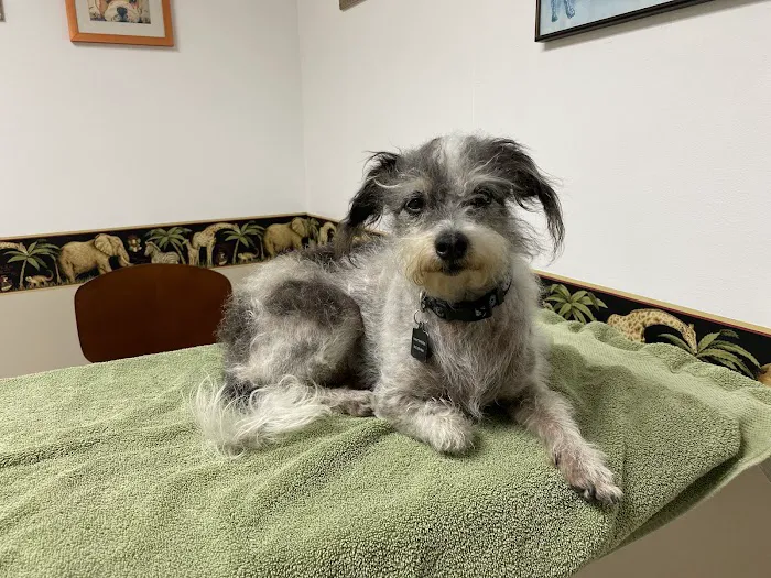 Ventura Veterinary Hospital 3