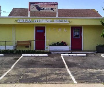 Ventura Veterinary Hospital