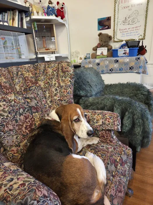 McNeil Veterinary Services 1
