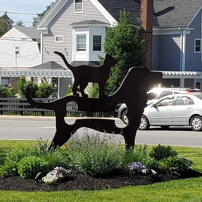 Riverside Veterinary Clinic 5