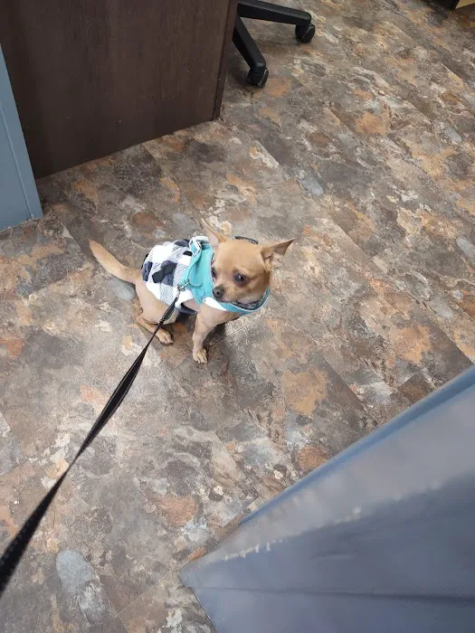 Riverside Veterinary Clinic 9