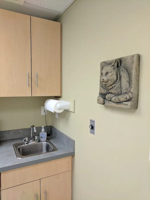 Merrimac Valley Animal Hospital 2