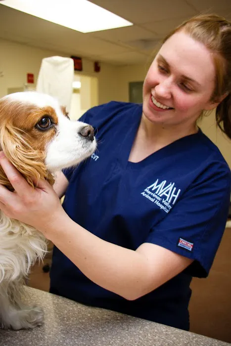 Merrimac Valley Animal Hospital 1