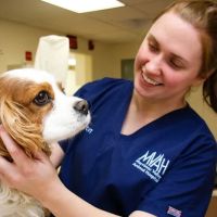 Merrimac Valley Animal Hospital ico
