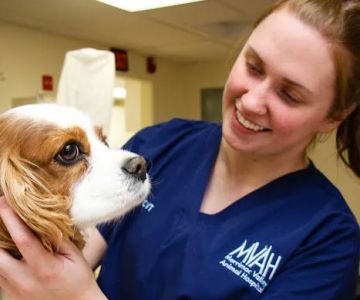 Merrimac Valley Animal Hospital