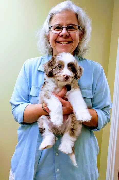 Merrimac Valley Animal Hospital 6