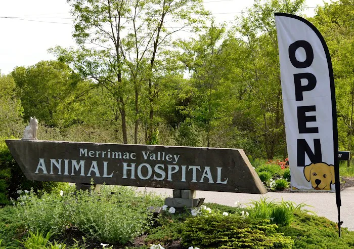 Merrimac Valley Animal Hospital 7
