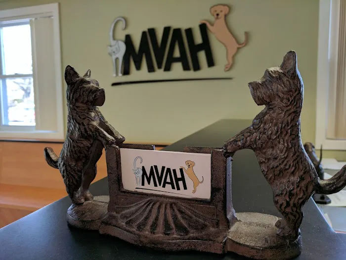 Merrimac Valley Animal Hospital 8