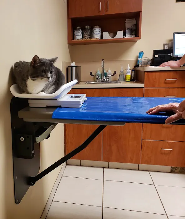 Amesbury Animal Hospital 2