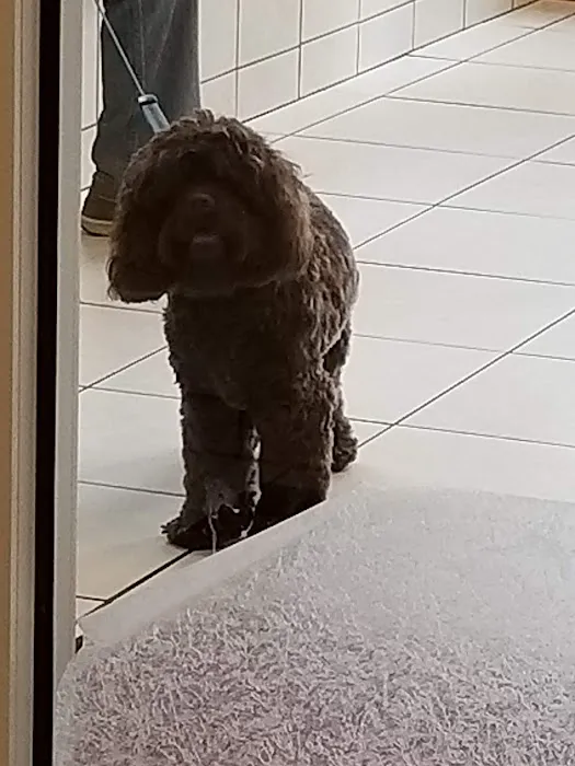 Amesbury Animal Hospital 4