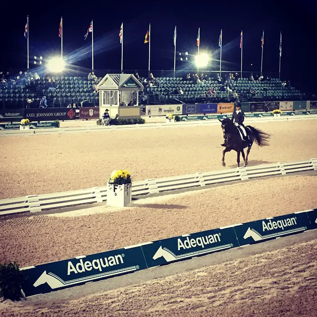 Atlantic Equine Services 2