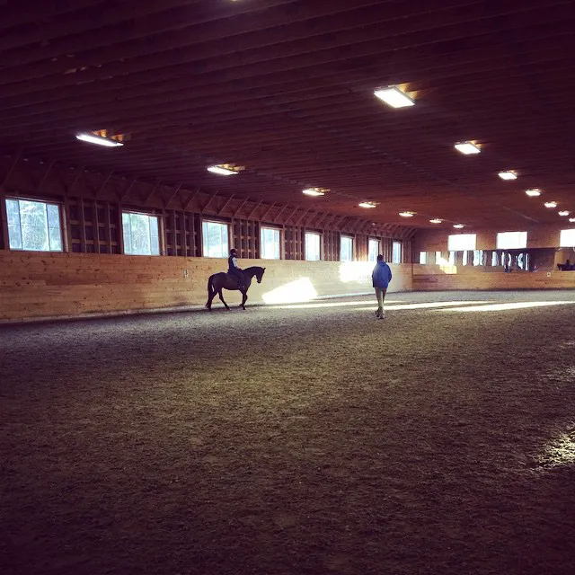 Atlantic Equine Services 5