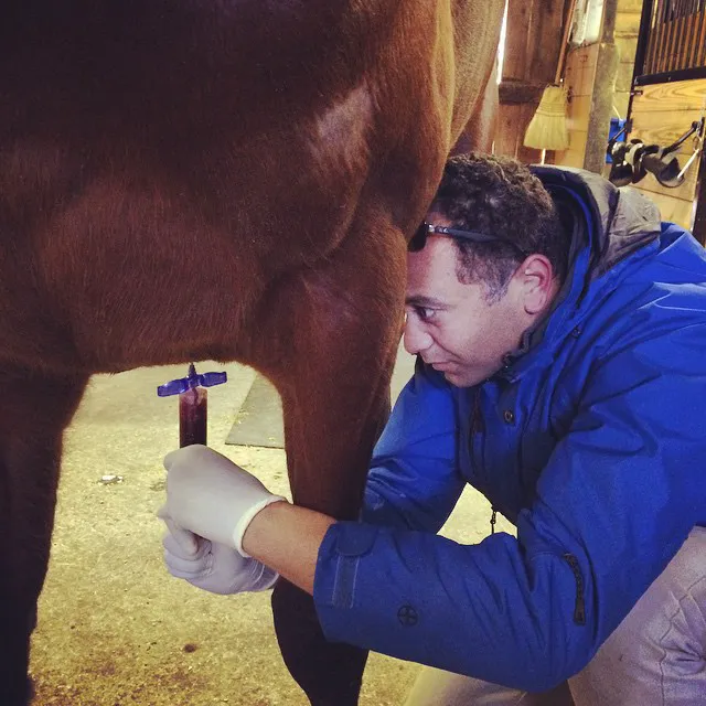 Atlantic Equine Services 4
