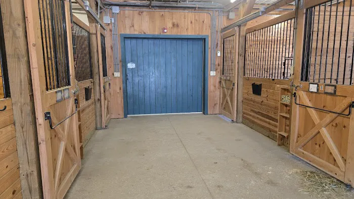 New England Equine Medical & Surgical center 3