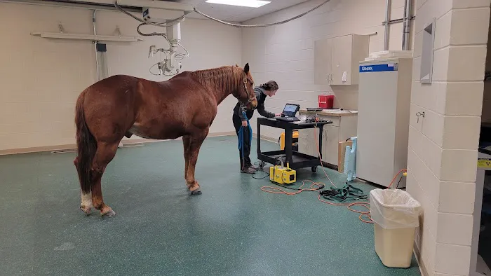 New England Equine Medical & Surgical center 1
