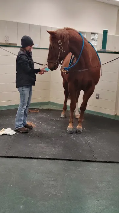 New England Equine Medical & Surgical center 7