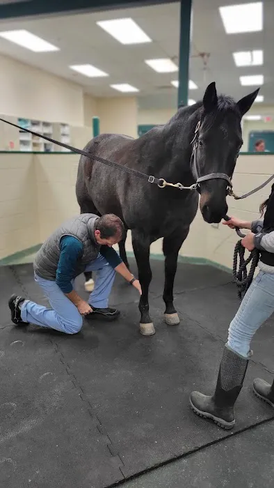 New England Equine Medical & Surgical center 8